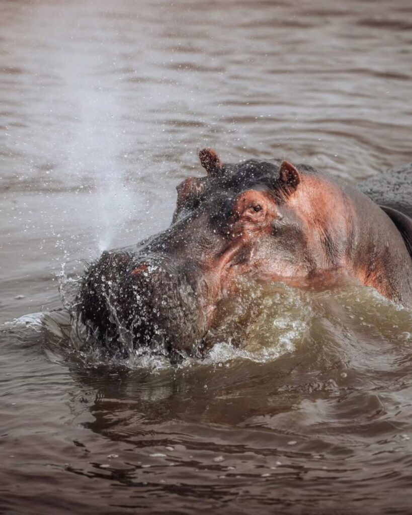 lake manyara national park safari img 20260326 wa0029
