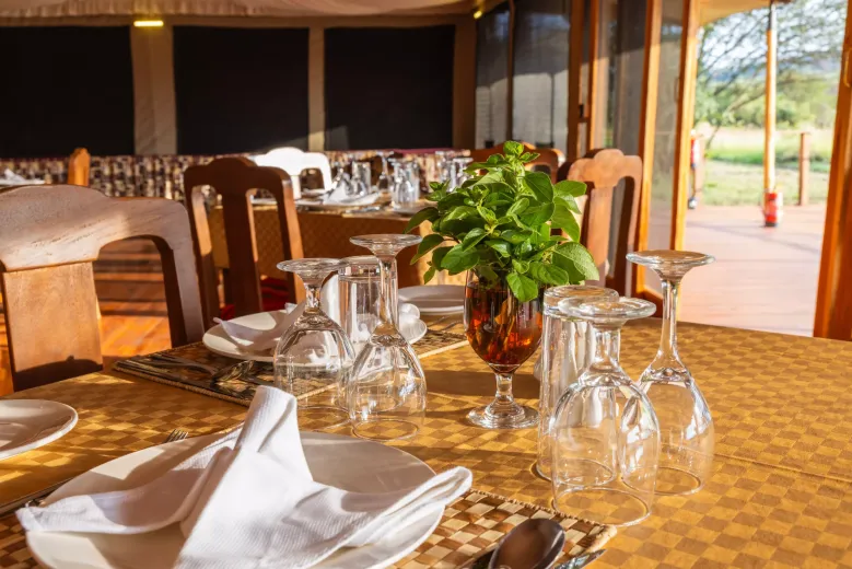 main serengeti safari haven 41 scaled