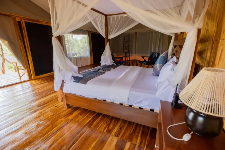 main serengeti safari haven 55