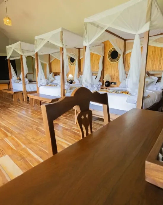 main serengeti safari haven 61 1 e1744701022754