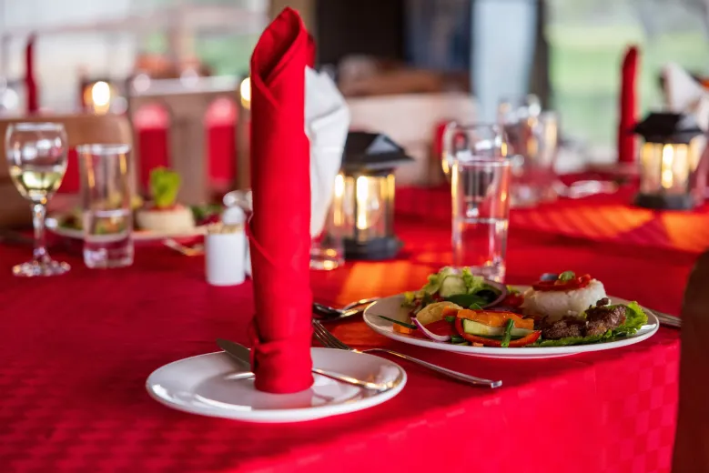 ndutu safari haven camp