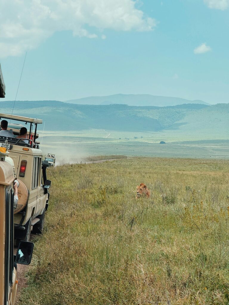 pexels 1093389518 30980273