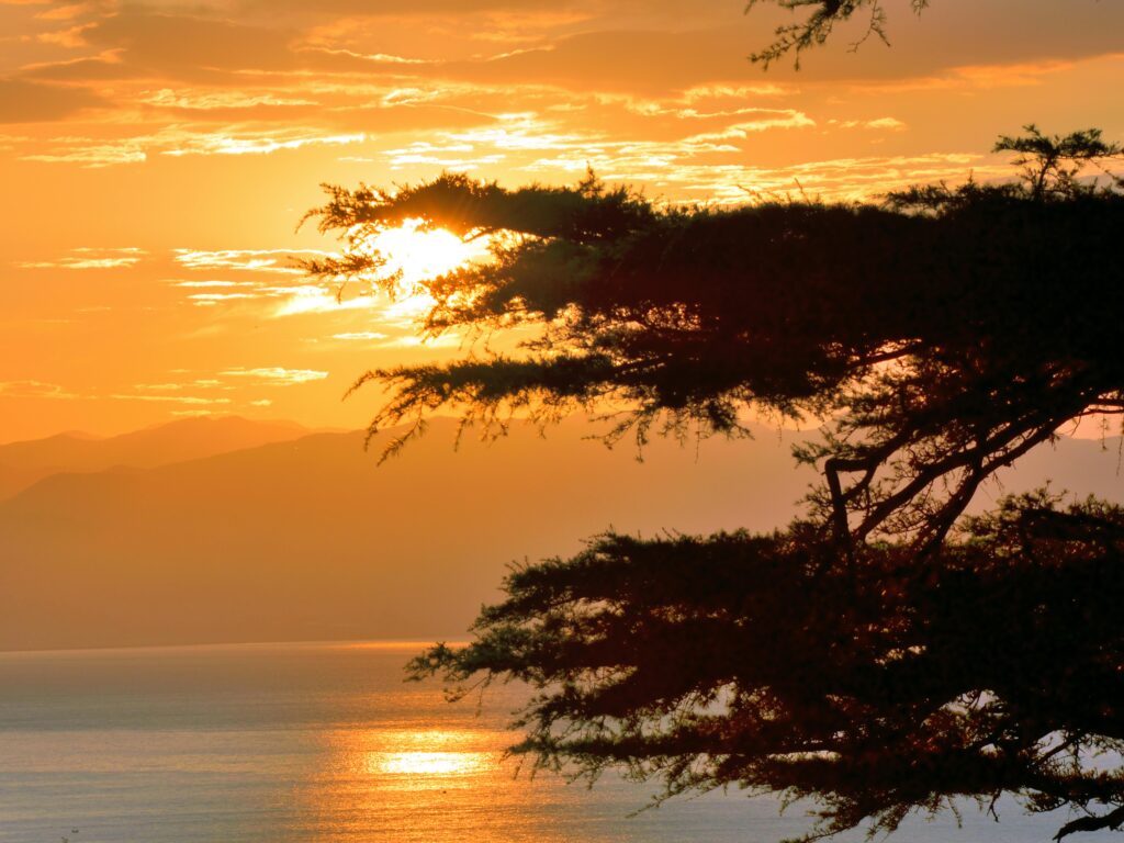 lake manyara national park safari pexels gutjahr aleksandr 3045334 8657670