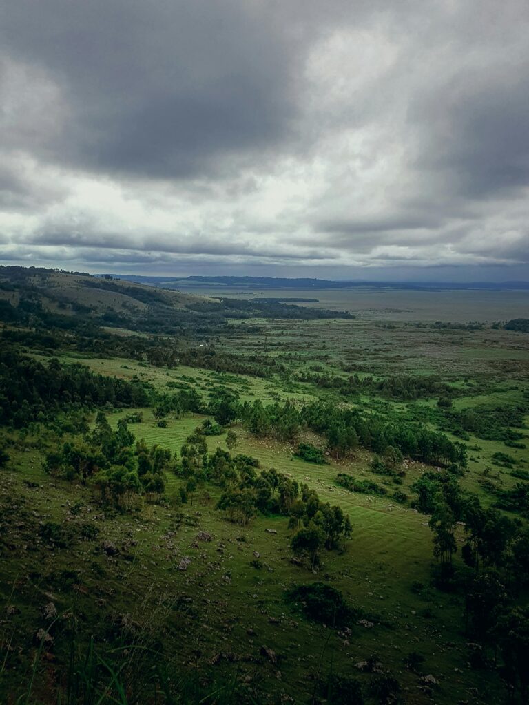 pexels meddybates 20771450