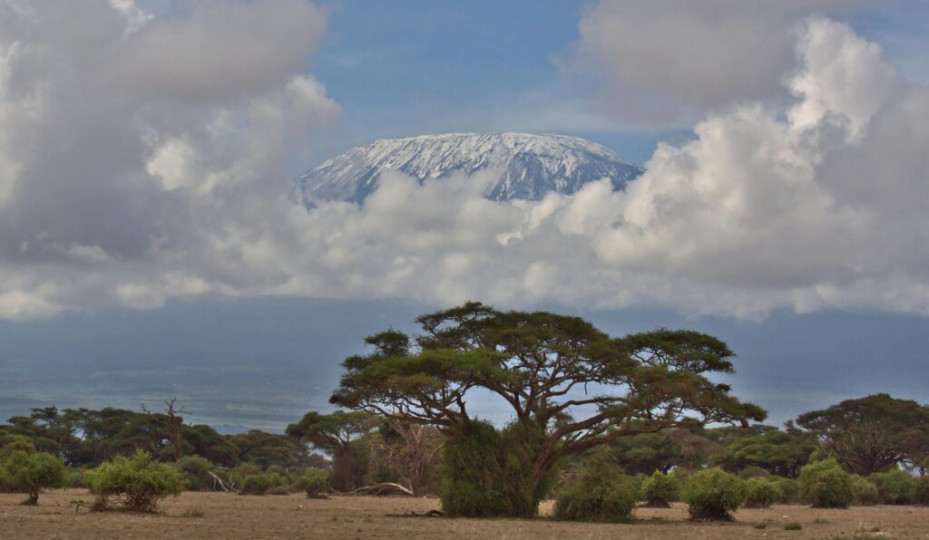 Mount kilimanjaro climbing tours pexels nirav shah 6927042 15904775