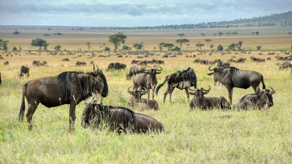 pexels ross green 2159326053 36048569