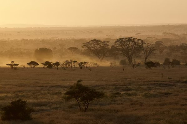 photo 1580687774725 4e23db308efc